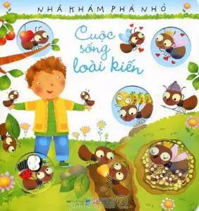 Cuộc sống loài kiến