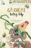 Gà choai trồng bắp