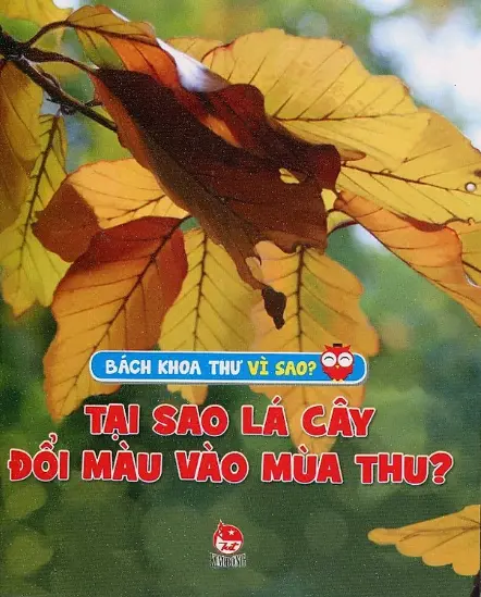 Tại sao lá cây đổi màu vào mùa thu?