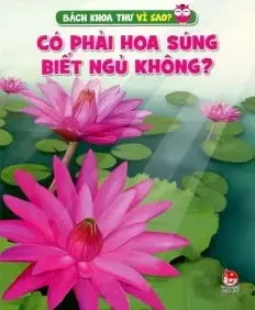 Có phải hoa súng biết ngủ không?