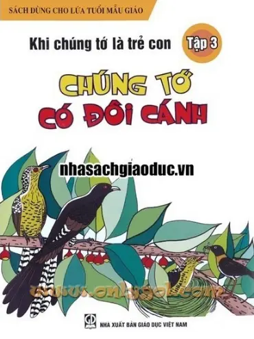 Chúng tớ có đôi cánh