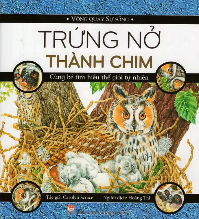 Trứng nở thành chim