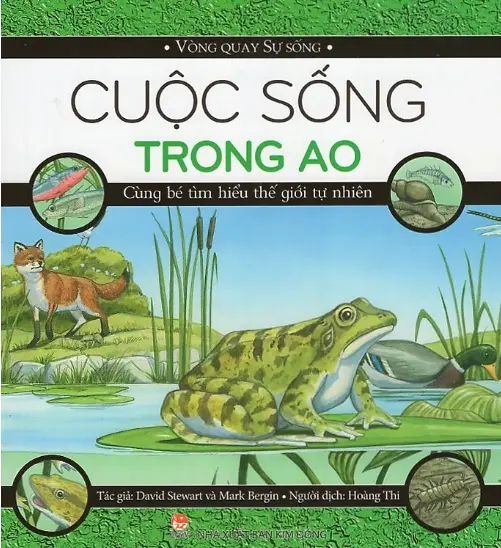 Cuộc sống trong ao