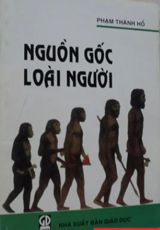 Nguồn gốc loài người