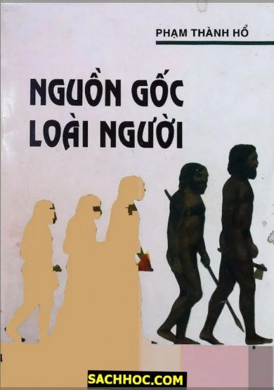 Nguồn Gốc Loài Người