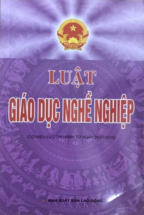 Luật giáo dục nghề nghiệp