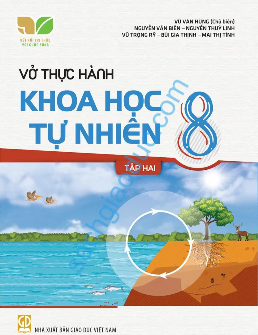 Vở thực hành Khoa học tự nhiên 8 Tập 2 - Kết Nối Tri Thức