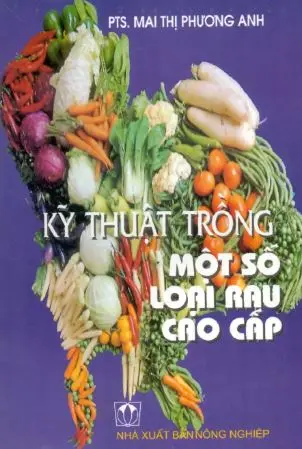 Kỹ thuật trồng một số loại rau cao cấp