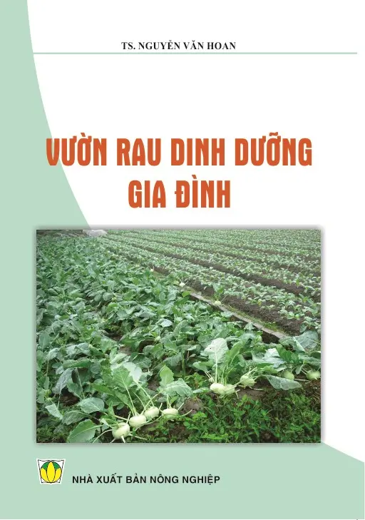 Vườn rau dinh dưỡng gia đình