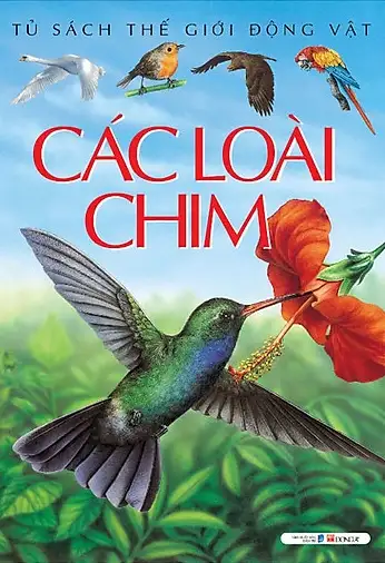 Các Loài Chim