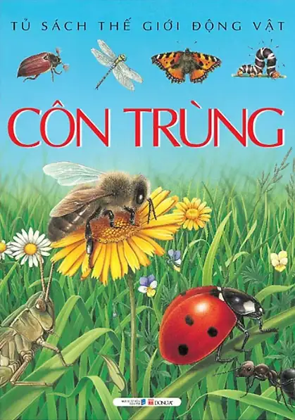 Côn Trùng