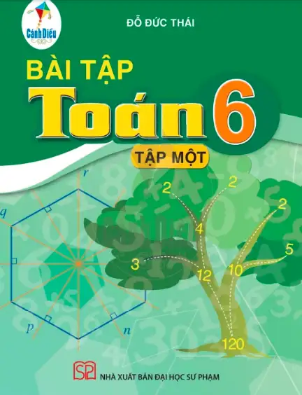 Sách bài tập Toán 6 - Tập 1 - Cánh diều