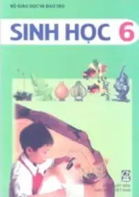 Sách Giáo Viên Sinh học 6