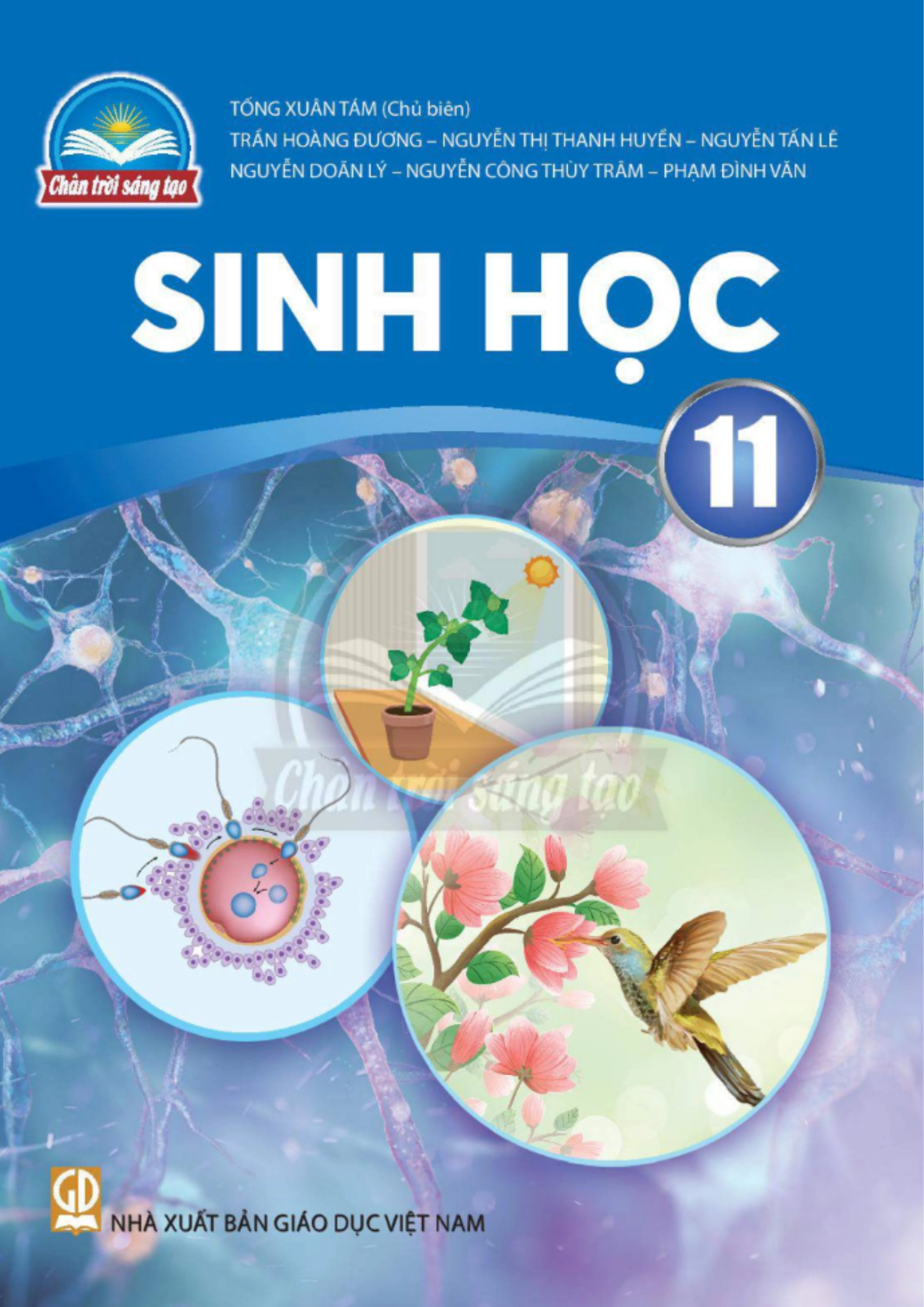 Sinh học 11 - Chân trời sáng tạo