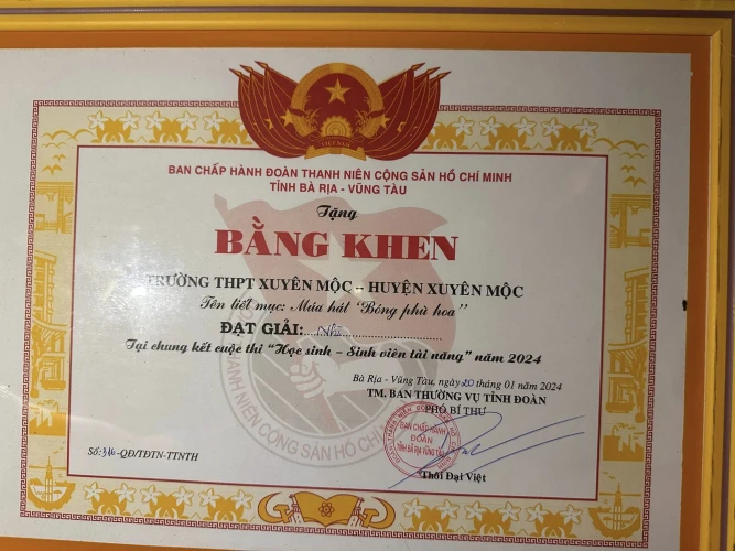 TRƯỜNG THPT XUYÊN MỘC ĐẠT THÀNH TÍCH XUẤT SẮC TẠI CUỘC THI "HỌC SINH - SINH VIÊN TÀI NĂNG 2024"