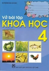 Vở bài tập Khoa Học 4