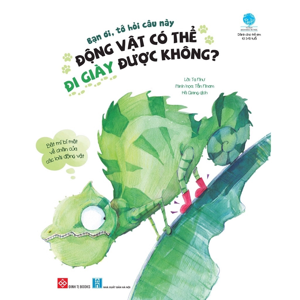 Bạn ơi tớ hỏi câu này: Động vật có thể đi giày được không?