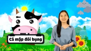 Cá mập đói bụng