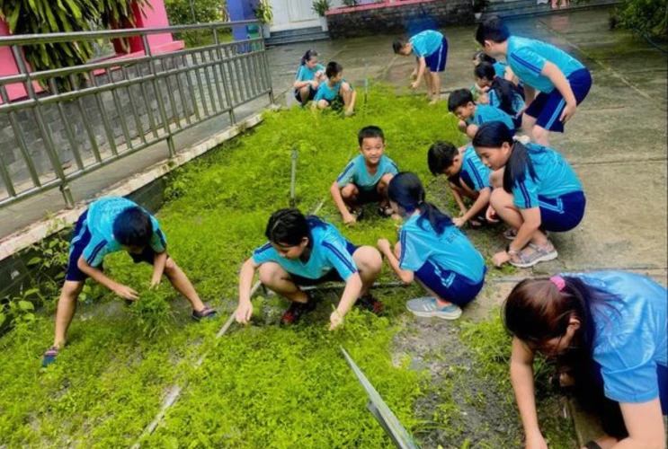 Học sinh Trường Tiểu học Bàu Bàng hưởng ứng giờ ra chơi trải nghiệm