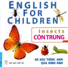 English for children - Côn trùng