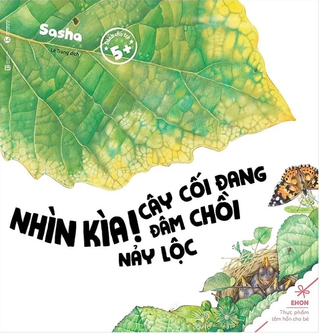 Nhìn kìa ! Cây cối đang đâm chồi nảy lộc