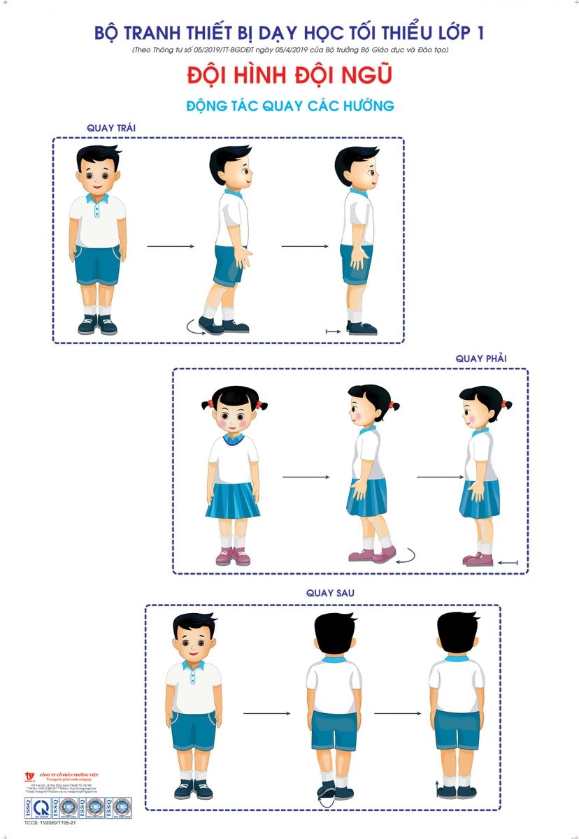 Bộ tranh hoặc video về đội hình, đội ngủ