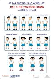 Bộ tranh thực hành giáo dục thể chất tư thế vận động cơ bản