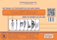 Bộ tranh cơ thể người và các giác quan lớp 1