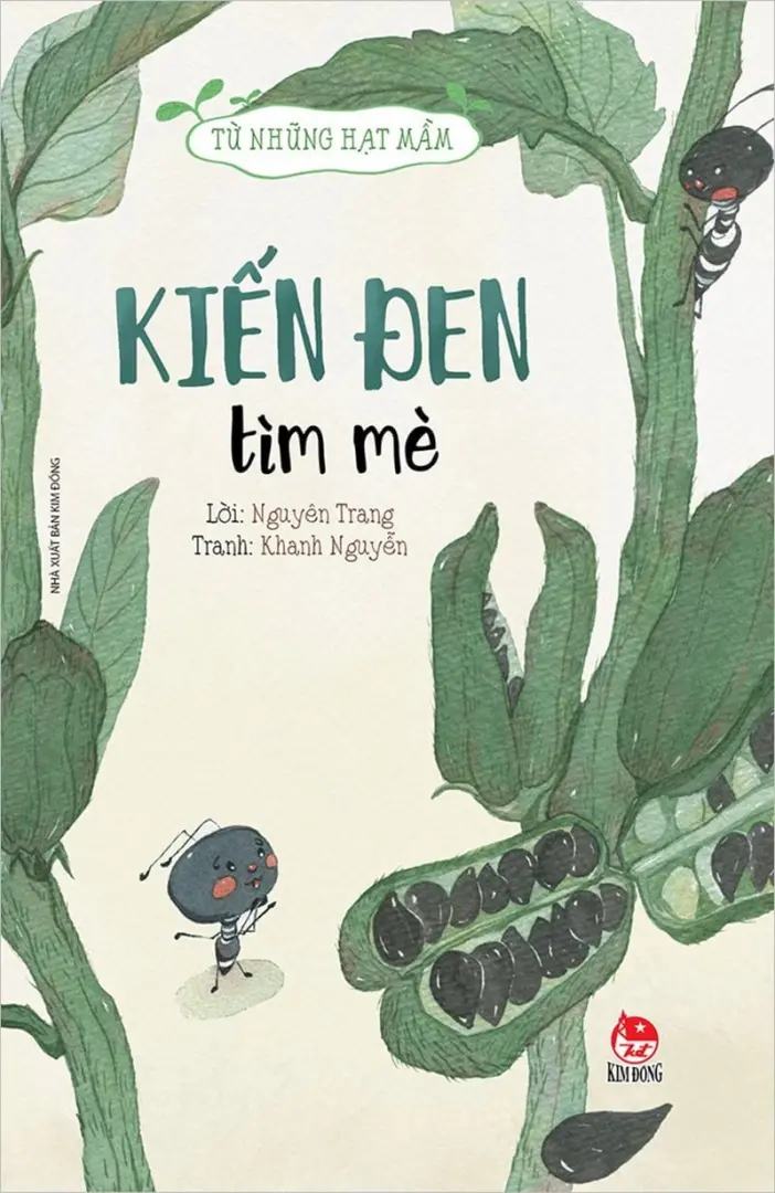 Từ những hạt mầm: Kiến đen tìm mè