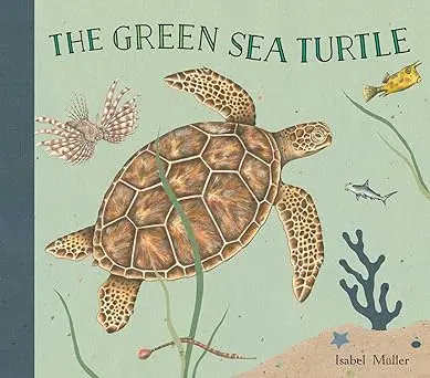 The Green sea Turtle