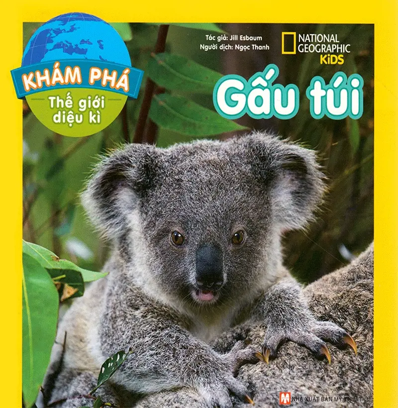 Gấu túi