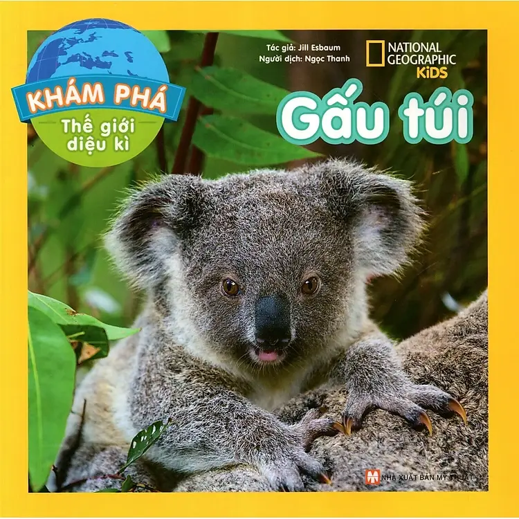 Gấu túi