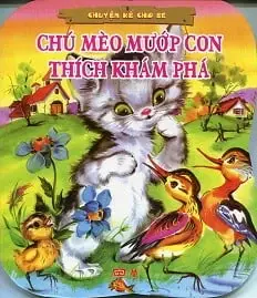 Chú mèo mướp con thích khám phá