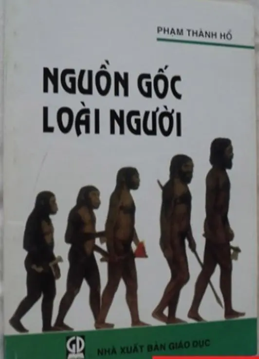 Nguồn gốc của loài người