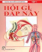 Hỏi gì đáp nấy T.1