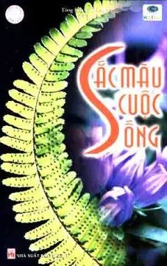 Sắc màu cuộc sống
