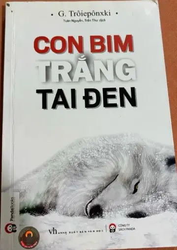 Con bim trắng tai đen