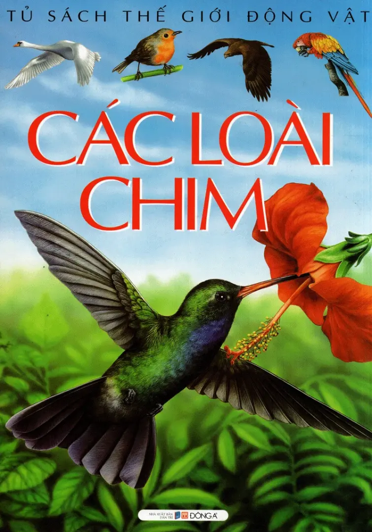 Các loài chim