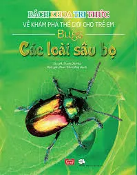 KPTG- Các loài sâu bọ