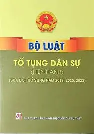 Bộ luật tố tụng dân sự.