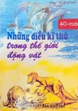 Những điều kì thú