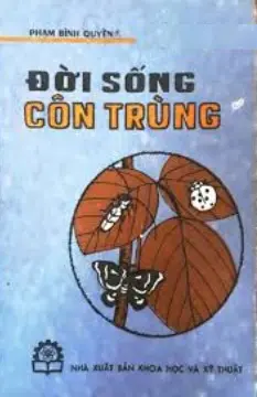 Đời sống côn trùng