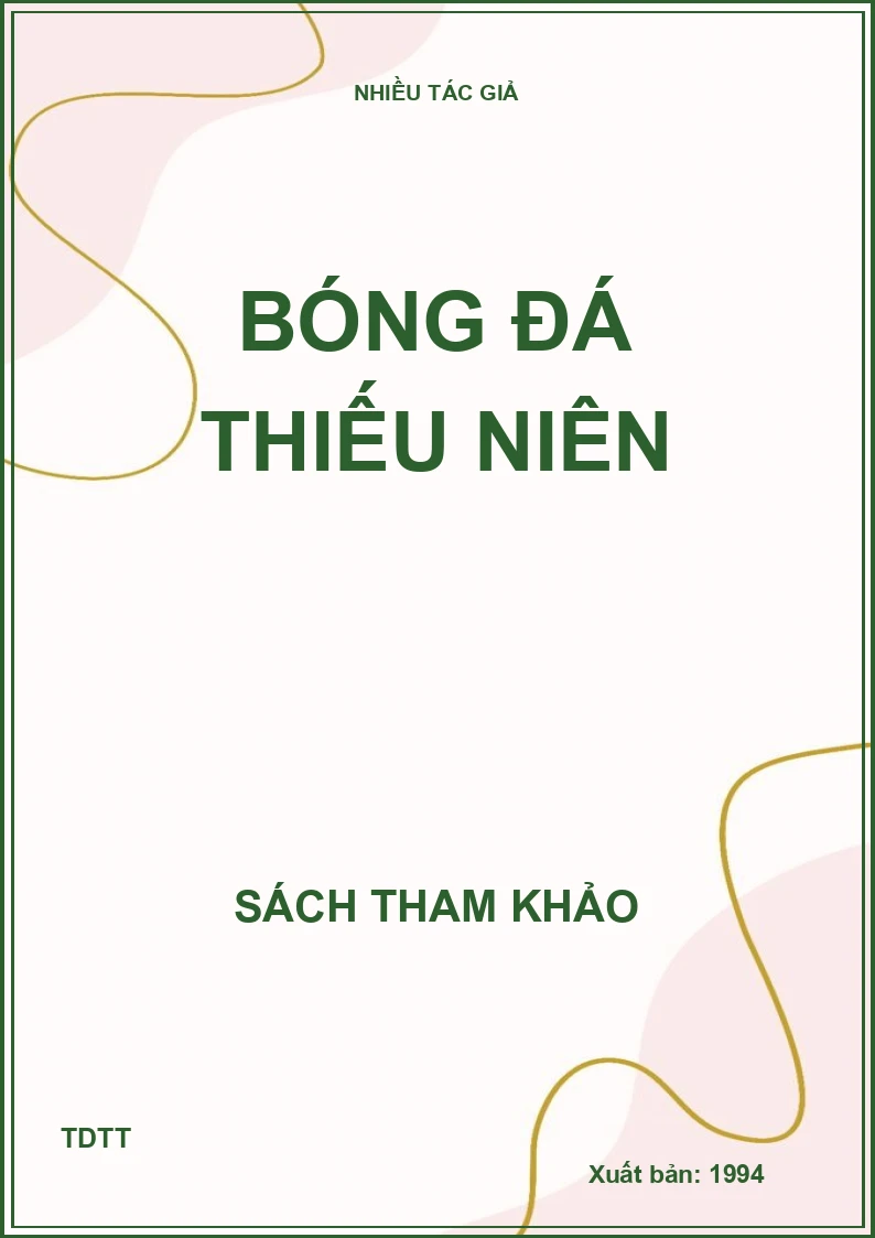 Bóng đá thiếu niên