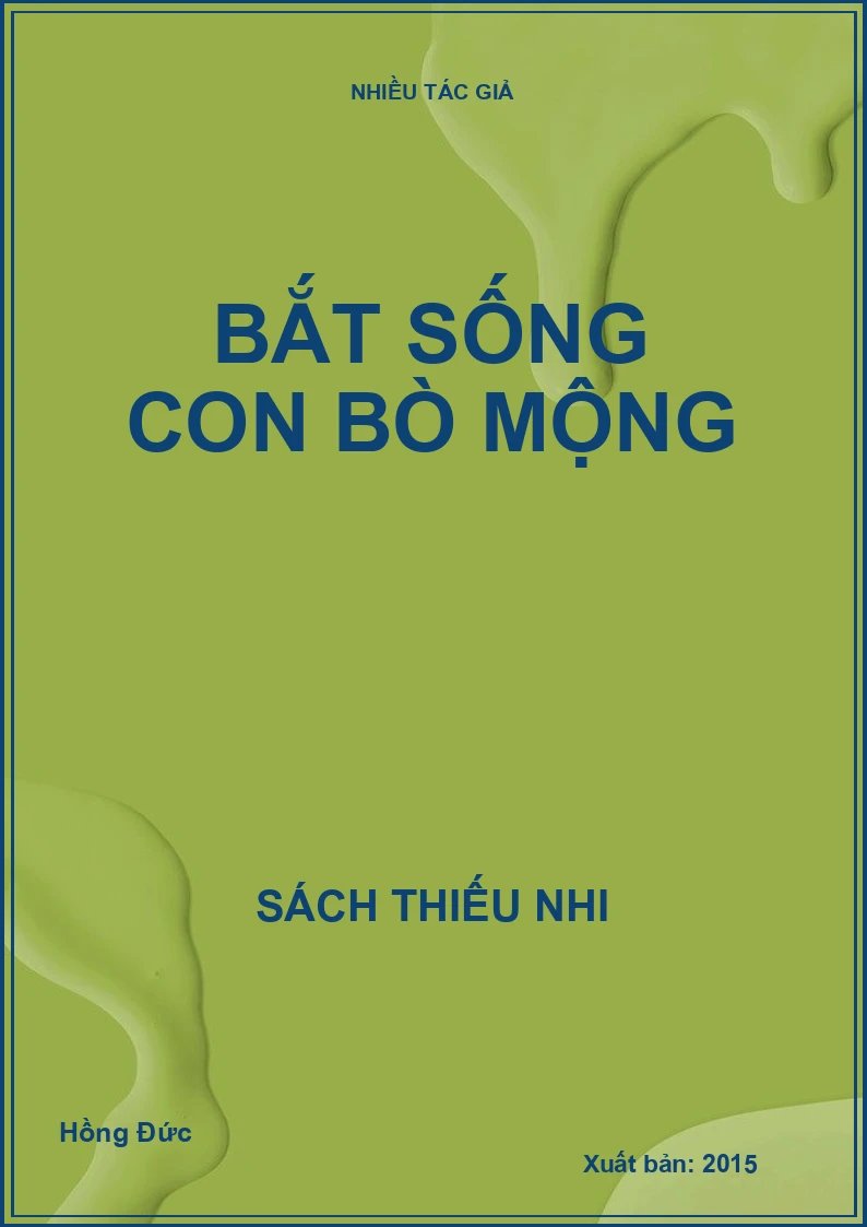 Bắt sống con bò mộng