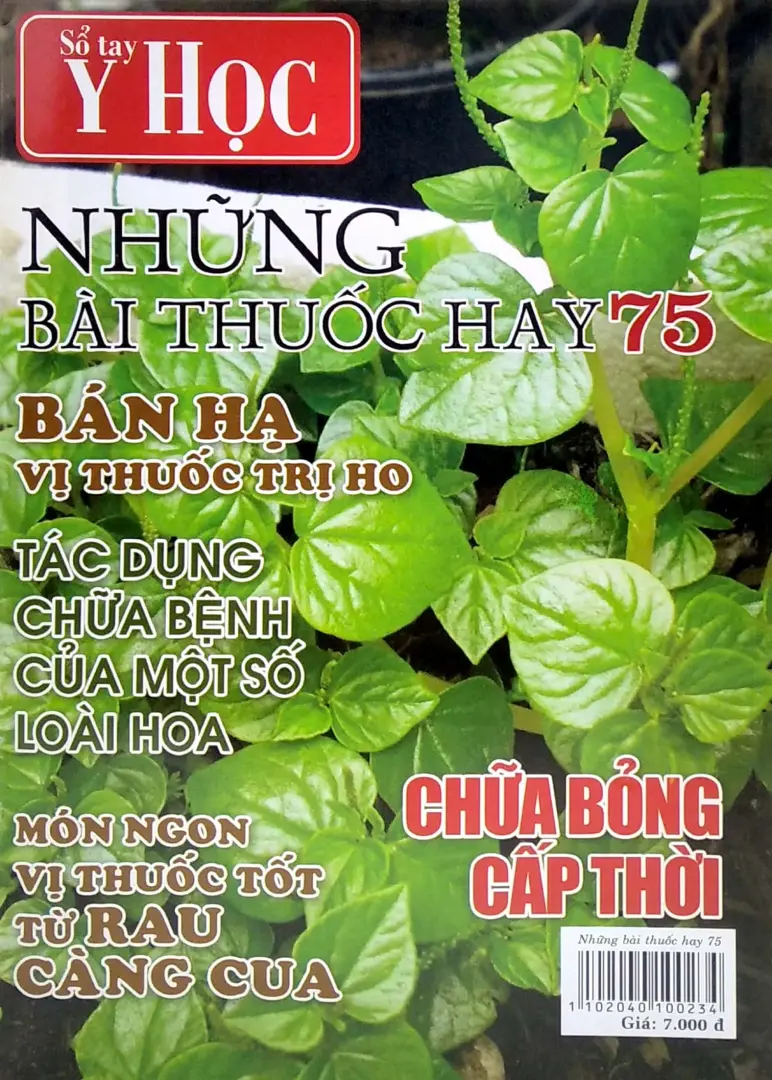 NHỮNG BÀI THUỐC HAY 75