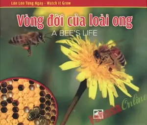 VÒNG ĐỜI CỦA LOÀI ONG