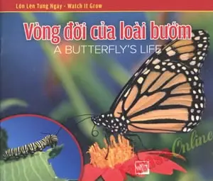 VÒNG ĐỜI CỦA LOÀI BƯỚM
