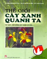 THẾ GIỚI CÂY XANH QUANH TA (TẬP 1)