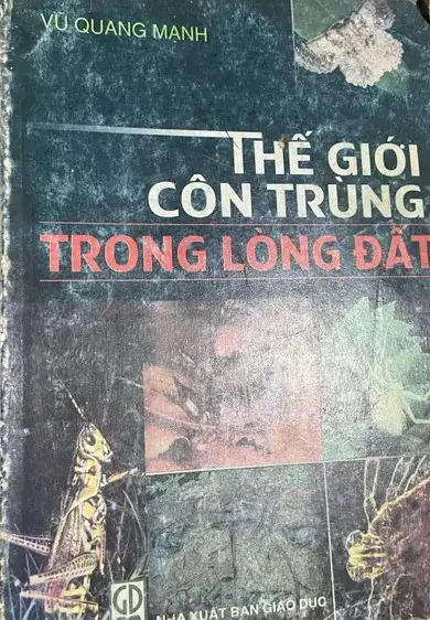 THẾ GIỚI CÔN TRÙNG TRONG LÒNG ĐẤT