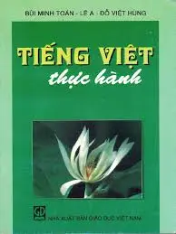 TIẾNG VIỆT THỰC HÀNH